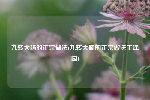 九转大肠的正宗做法(九转大肠的正宗做法丰泽园)