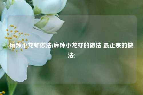 麻辣小龙虾做法(麻辣小龙虾的做法 最正宗的做法)