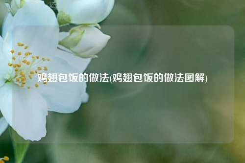 鸡翅包饭的做法(鸡翅包饭的做法图解)