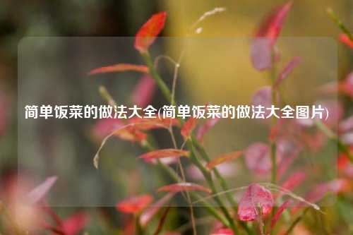 简单饭菜的做法大全(简单饭菜的做法大全图片)