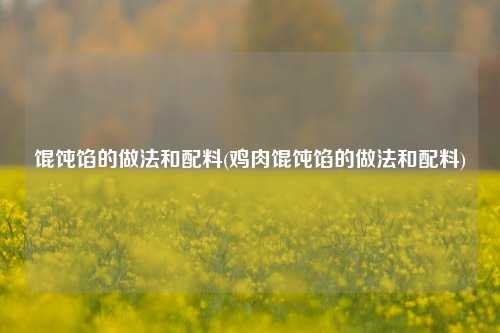 馄饨馅的做法和配料(鸡肉馄饨馅的做法和配料)