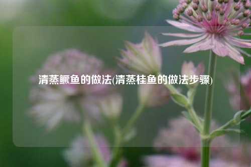 清蒸鳜鱼的做法(清蒸桂鱼的做法步骤)