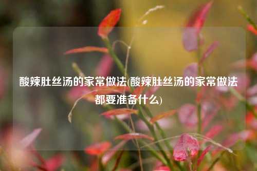 酸辣肚丝汤的家常做法(酸辣肚丝汤的家常做法都要准备什么)