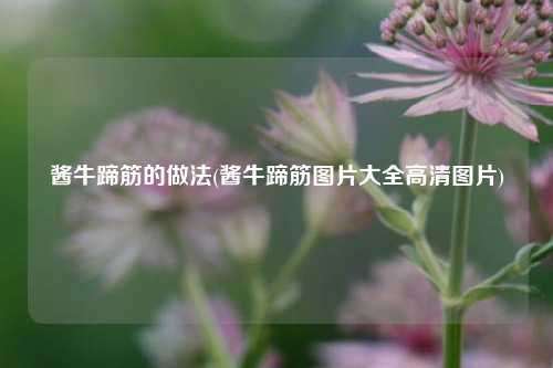 酱牛蹄筋的做法(酱牛蹄筋图片大全高清图片)