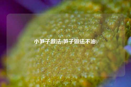 小笋子做法(笋子做法不油)