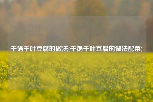 干锅千叶豆腐的做法(干锅千叶豆腐的做法配菜)