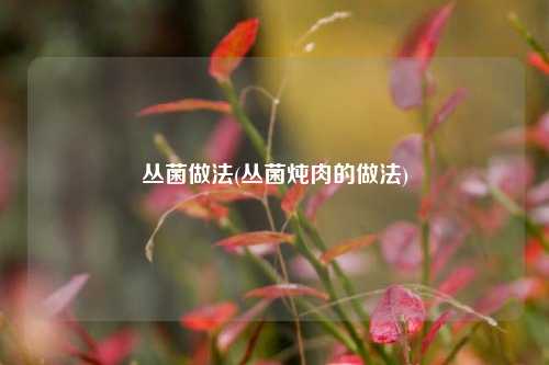丛菌做法(丛菌炖肉的做法)