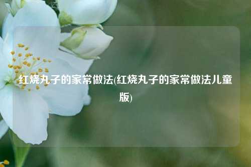 红烧丸子的家常做法(红烧丸子的家常做法儿童版)