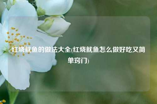 红烧鱿鱼的做法大全(红烧鱿鱼怎么做好吃又简单窍门)