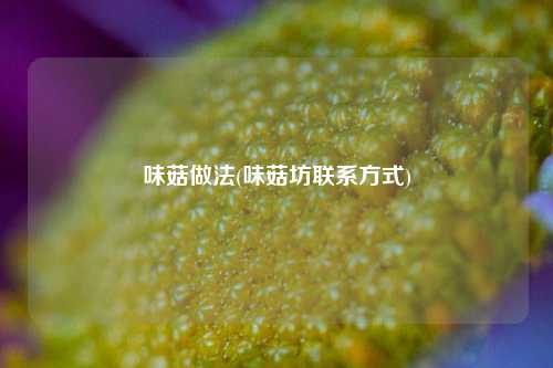 味菇做法(味菇坊联系方式)