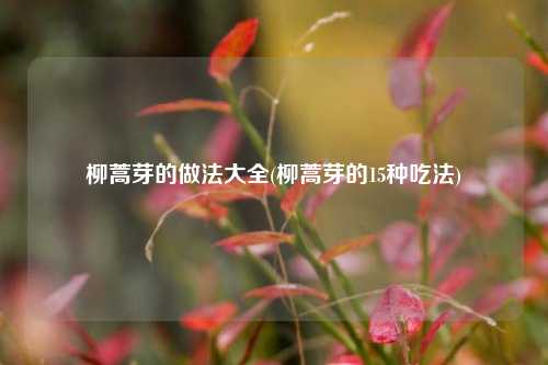 柳蒿芽的做法大全(柳蒿芽的15种吃法)