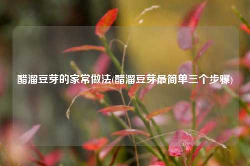 醋溜豆芽的家常做法(醋溜豆芽最简单三个步骤)