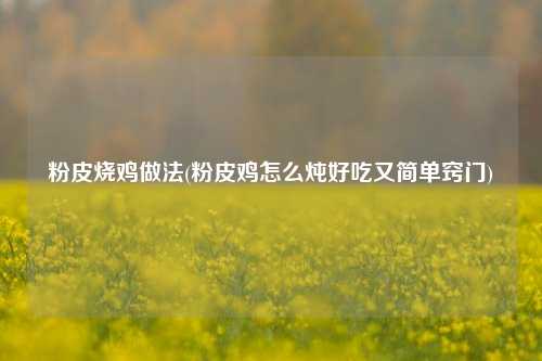 粉皮烧鸡做法(粉皮鸡怎么炖好吃又简单窍门)