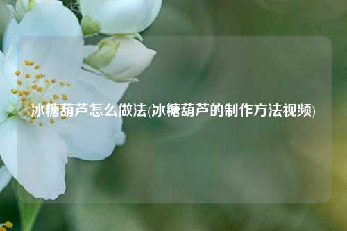 冰糖葫芦怎么做法(冰糖葫芦的制作方法视频)