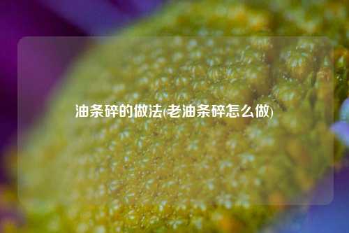 油条碎的做法(老油条碎怎么做)