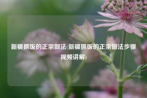 新疆抓饭的正宗做法(新疆抓饭的正宗做法步骤视频讲解)