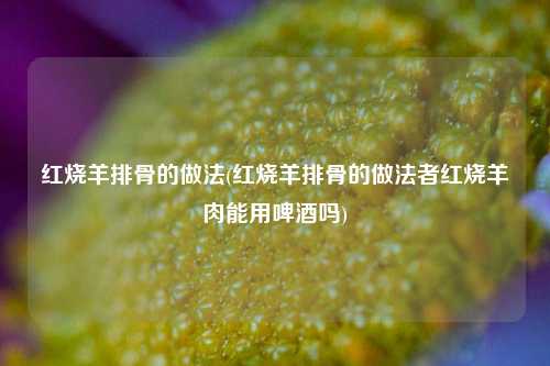 红烧羊排骨的做法(红烧羊排骨的做法者红烧羊肉能用啤酒吗)