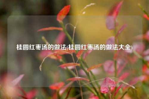 桂圆红枣汤的做法(桂圆红枣汤的做法大全)