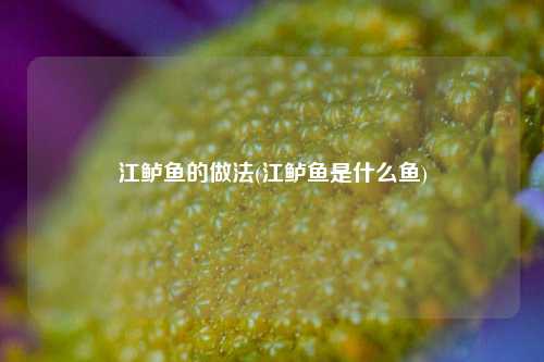 江鲈鱼的做法(江鲈鱼是什么鱼)