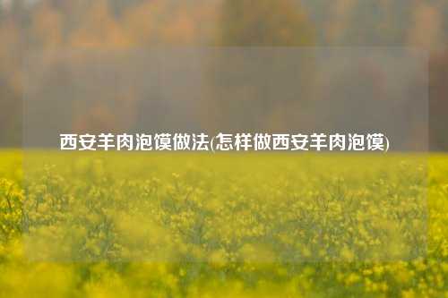 西安羊肉泡馍做法(怎样做西安羊肉泡馍)