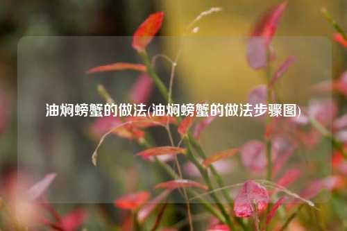 油焖螃蟹的做法(油焖螃蟹的做法步骤图)