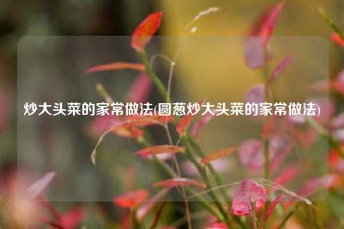 炒大头菜的家常做法(圆葱炒大头菜的家常做法)