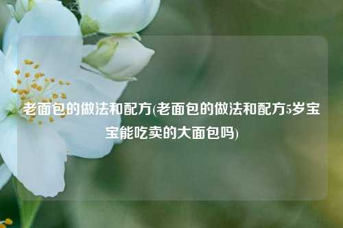 老面包的做法和配方(老面包的做法和配方5岁宝宝能吃卖的大面包吗)