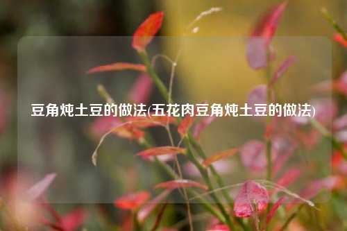 豆角炖土豆的做法(五花肉豆角炖土豆的做法)