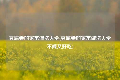 豆腐卷的家常做法大全(豆腐卷的家常做法大全不辣又好吃)
