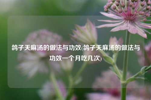 鸽子天麻汤的做法与功效(鸽子天麻汤的做法与功效一个月吃几次)
