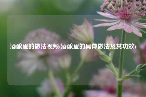 酒酿蛋的做法视频(酒酿蛋的具体做法及其功效)