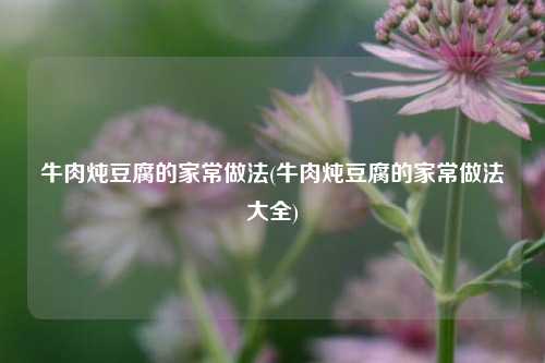 牛肉炖豆腐的家常做法(牛肉炖豆腐的家常做法大全)