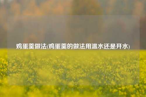 鸡蛋羹做法(鸡蛋羹的做法用温水还是开水)