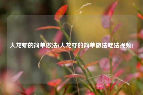 大龙虾的简单做法(大龙虾的简单做法吃法视频)