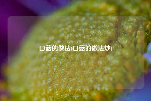 口菇的做法(口菇的做法炒)