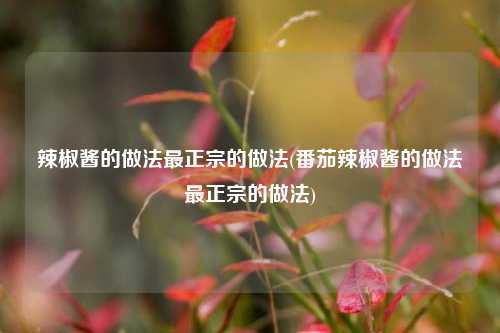 辣椒酱的做法最正宗的做法(番茄辣椒酱的做法最正宗的做法)
