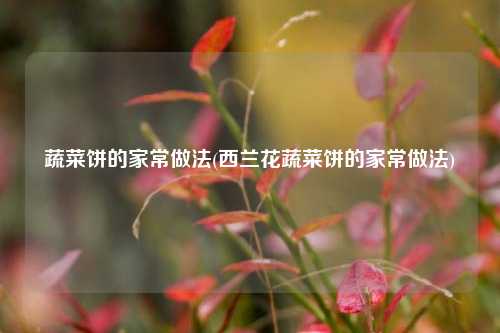 蔬菜饼的家常做法(西兰花蔬菜饼的家常做法)
