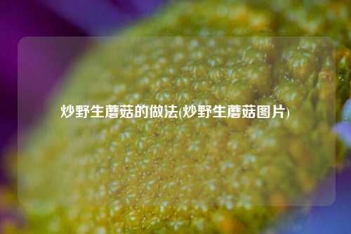 炒野生蘑菇的做法(炒野生蘑菇图片)