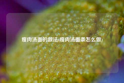 瘦肉汤面的做法(瘦肉汤面条怎么做)