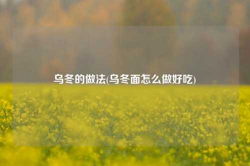 乌冬的做法(乌冬面怎么做好吃)