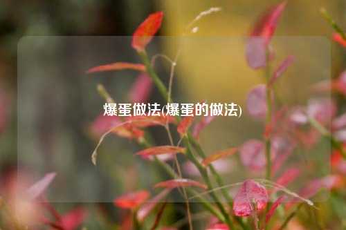 爆蛋做法(爆蛋的做法)