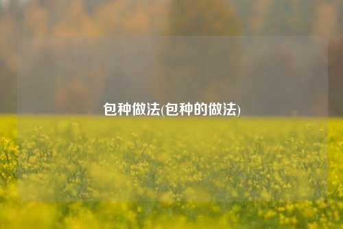 包种做法(包种的做法)