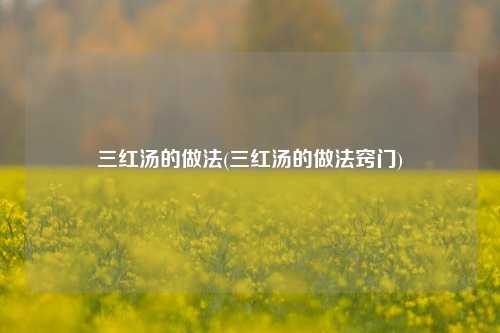三红汤的做法(三红汤的做法窍门)