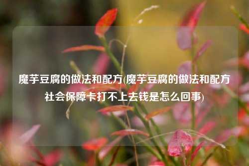 魔芋豆腐的做法和配方(魔芋豆腐的做法和配方社会保障卡打不上去钱是怎么回事)