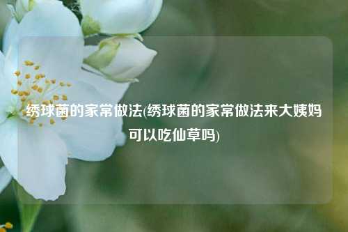 绣球菌的家常做法(绣球菌的家常做法来大姨妈可以吃仙草吗)