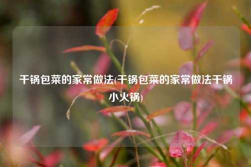 干锅包菜的家常做法(干锅包菜的家常做法干锅小火锅)