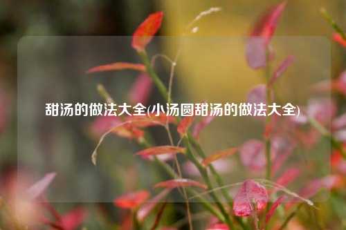 甜汤的做法大全(小汤圆甜汤的做法大全)