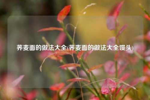 荞麦面的做法大全(荞麦面的做法大全馒头)