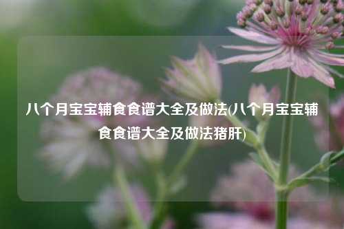 八个月宝宝辅食食谱大全及做法(八个月宝宝辅食食谱大全及做法猪肝)