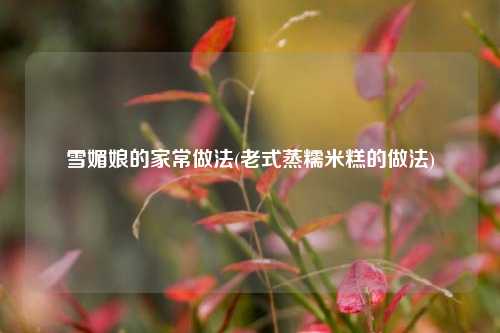 雪媚娘的家常做法(老式蒸糯米糕的做法)